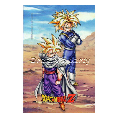 CIALDA DRAGONBALL A 20X30CM