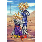 CIALDA DRAGONBALL A 20X30CM