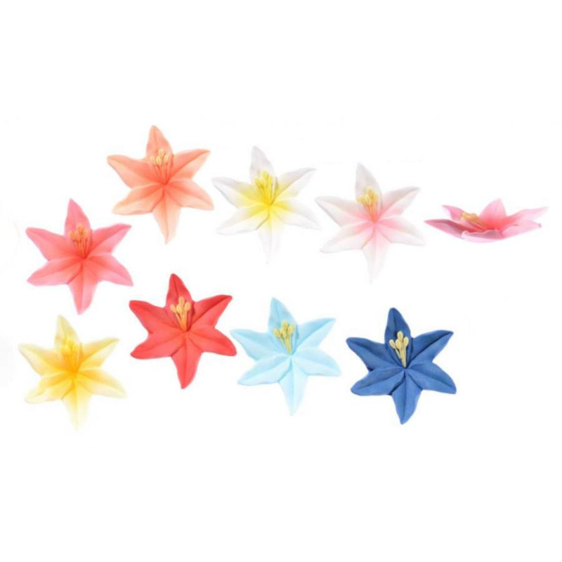 Fiore Hemerocallis in ZUCCHERO - decorazione torte e dolci - 1 Pezzo Casuale