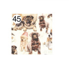 Rotolo Carta da confezione REGALO CUCCIOLI compleanno - 2 Fogli da 70x100cm