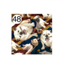 Rotolo Carta da confezione REGALO ROCKABILLY compleanno - 2 Fogli da 70x100cm