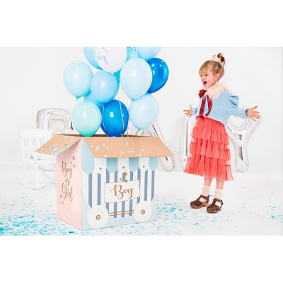 Scatola Sorpresa Baby Shower Boy or Girl Box Surprise rosa e celeste 60x40x60cm
