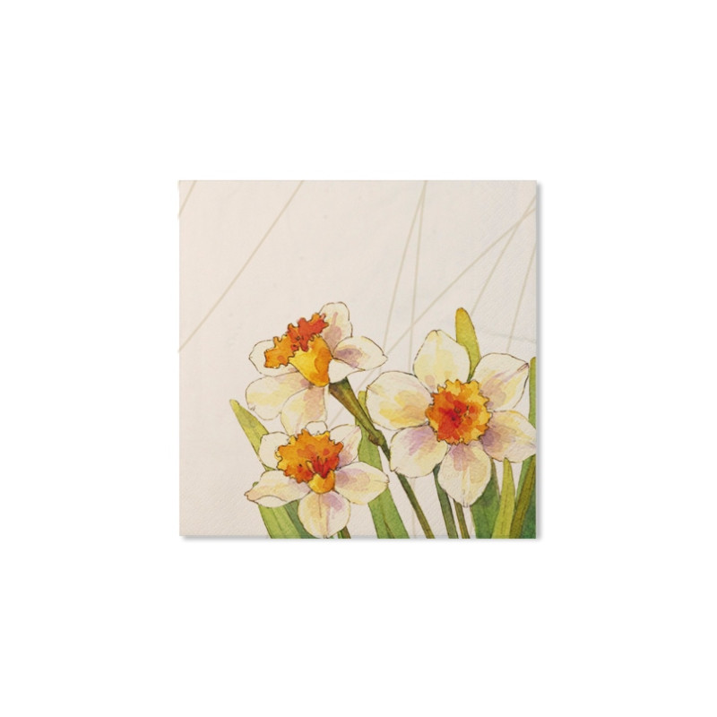 20 TOVAGLIOLI in carta NARCISI bianco con fiori narcisi - addobbo decoro tavola