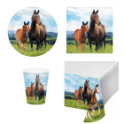 Coordinato festa Cavallo e pony bambini piatti bicchieri tovaglioli tovaglia
