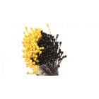 Confezione 288 Pistilli per Fiori, Giallo Perlato / Nero Perlato