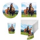 Coordinato festa Cavallo e pony bambini piatti bicchieri tovaglioli tovaglia