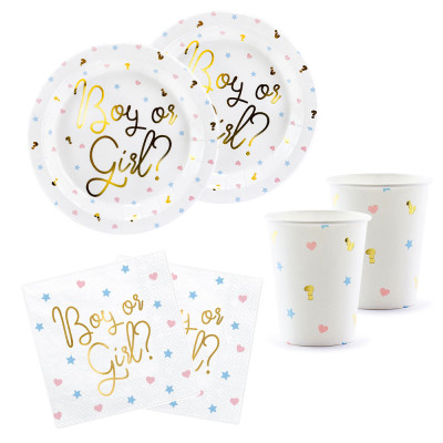 Coordinato tavola GENDER REVEAL Boy or Girl piatti bicchieri tovaglioli