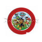 PIATTO PAW PATROL 8 PZ D. 18CM