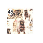 Rotolo Carta da confezione REGALO CUCCIOLI compleanno - 2 Fogli da 70x100cm