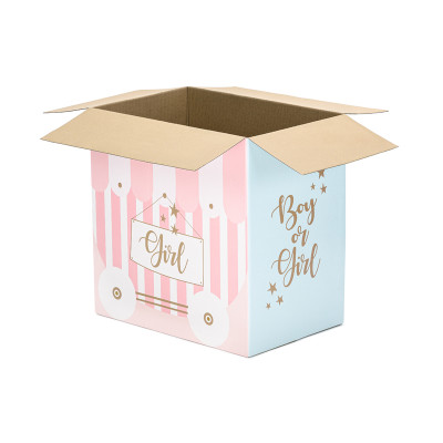 Scatola Sorpresa Baby Shower Boy or Girl Box Surprise rosa e celeste 60x40x60cm