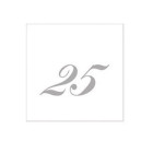 TOVAGLIOLO 25 ARGENTO 25X25 CM 2 VELI PZ 20