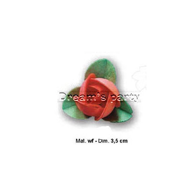 BOCCIOLO ROSA OSTIA