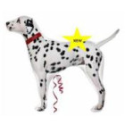 PALLONE MYLAR SUPER SHAPE DALMATA 66X81CM