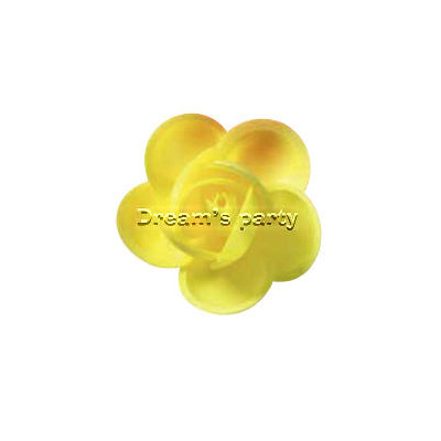 ROSA NUMERO 3 GIALLO 5,5 CM