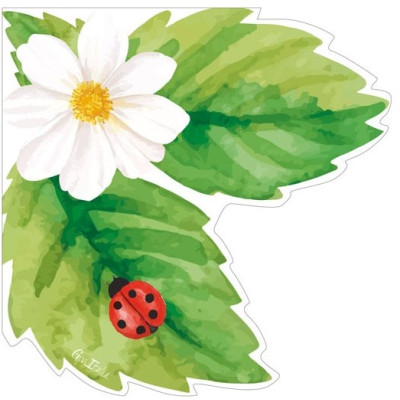 Coordinato feste tavola FRAGOLA COCCINELLA e FIORELLINI  piatti bicchieri tovaglioli 32 pz