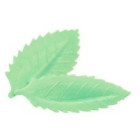 15 Foglia in cialda  cm 4X2 circa