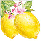 16 TOVAGLIOLI in carta floreali a forma di LIMONI sagomati decoro tavola 33x33cm