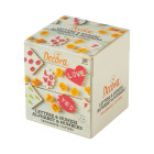 Set 36 Tagliapasta LETTERE e NUMERI - per biscotti e decori torte e dolci ecc.