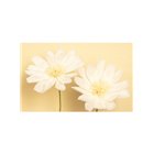 Set 4 Fiori in carta crespa Bianco AVORIO 25/35cm -decoro scenario sfondo parere