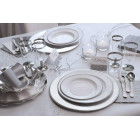 Set 44 pz Coordinato - RIGO ARGENTO - piatti, bicchieri, tovaglioli  addobbo decoro tavola