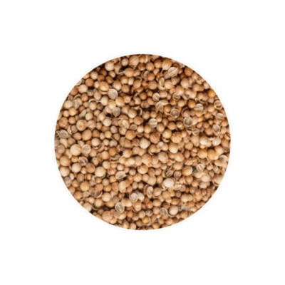 1 kg Semi di Coriandolo dalla Bulgaria, Spezie Naturali Intere, Origine Selezionata per Cucina e Condimenti