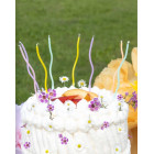 8 Candele CURLY - RICCIA NERO Mezzo Stelo candeline in cera per torte H12,3 cm