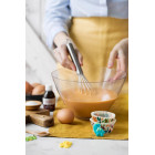 Soggetti Dinosauri - Decorazione in zucchero per Dolci - 6 pezzi ssortiti