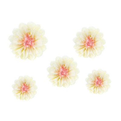 Set 5 Fiori in carta velina color crema 30/25/20cm decoro scenario sfondo parere