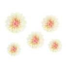 Set 5 Fiori in carta velina color crema 30/25/20cm decoro scenario sfondo parere
