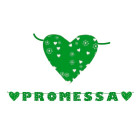 Festone scritta "PROMESSA" di matrimonio - BANNER- estensibile 6 mt verde