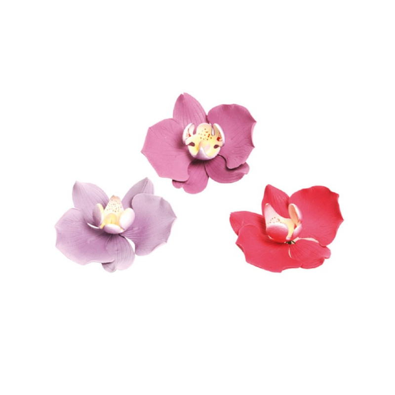 1 ORCHIDEA glicine,fucsia viola casuale 8 cm in zucchero per torte e dolci