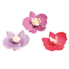 1 ORCHIDEA glicine,fucsia viola casuale 8 cm in zucchero per torte e dolci
