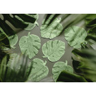 12 Tovaglioli in carta a forma di FOGLIA di Monstera verde - 14,5x18cm